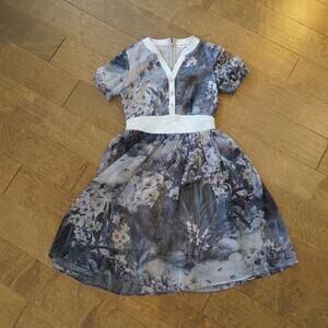 Dan Munier A-Line Dress Womens Small Gray Floral Print Empire Waist Back Zip